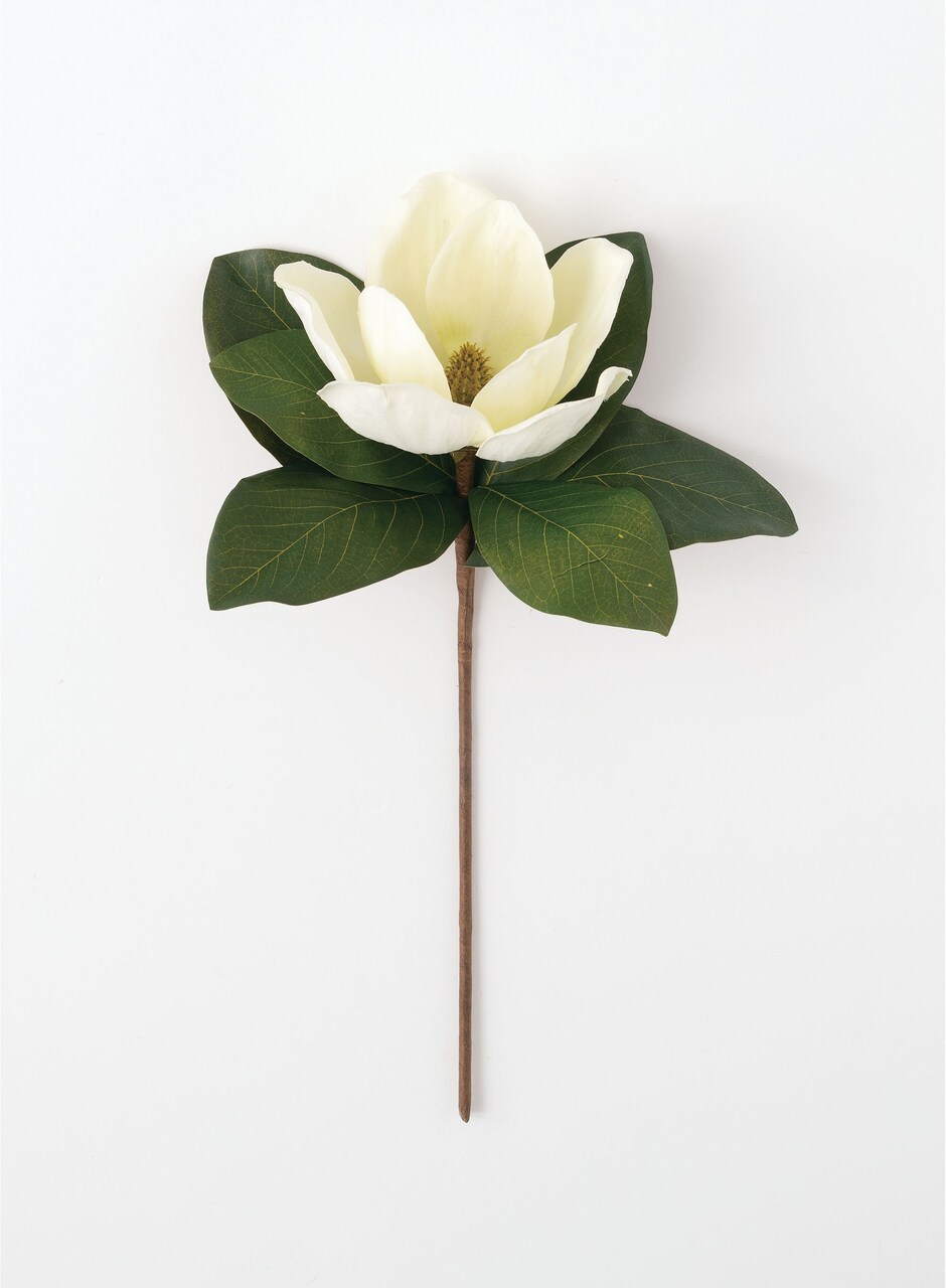 Sullivan's Magnolia Stem, Cream Faux Floral Stem for Crafting, Weddings, Home and Holiday Decoration, 18.5 Inch
